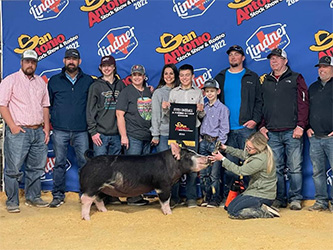 Upperhand Winners