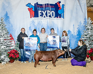Upperhand Winners