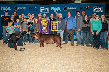 Upperhand Winners