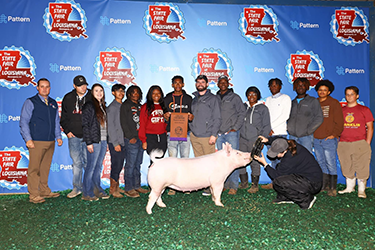 Grand Commercial Gilt LA State Fair