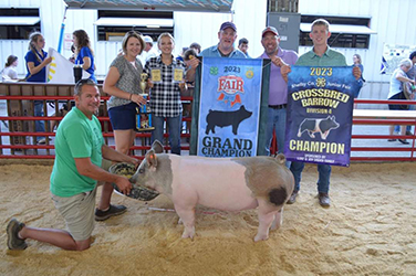 Upperhand Winners