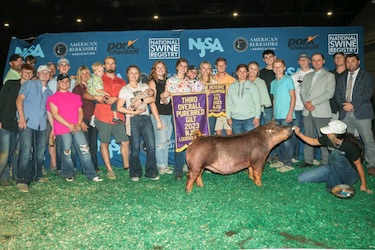 Upperhand Winners