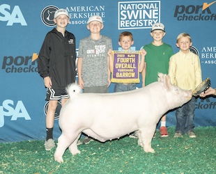 Upperhand Winners