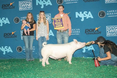 Upperhand Winners