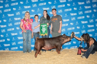 Upperhand Winners