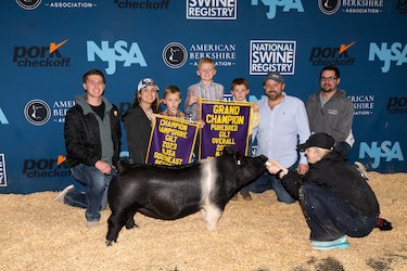Upperhand Winners