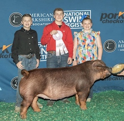 Upperhand Winners