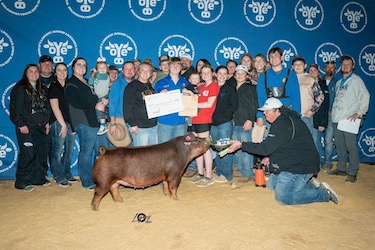 Upperhand Winners
