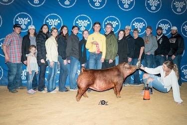 Upperhand Winners