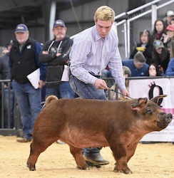 Upperhand Winners