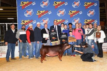 Upperhand Winners