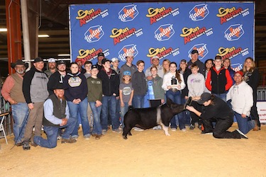 Upperhand Winners