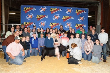 Upperhand Winners