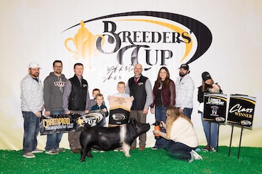 Upperhand Winners
