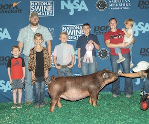 Upperhand Winners