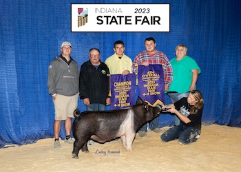 Upperhand Winners