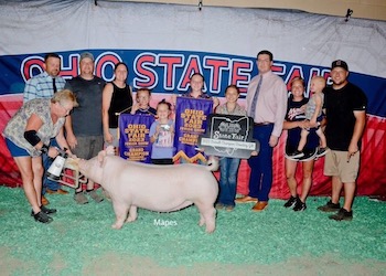 Upperhand Winners