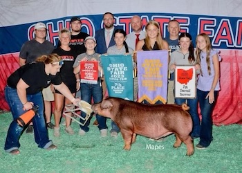 Upperhand Winners