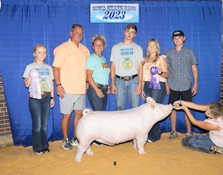 Upperhand Winners