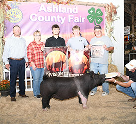 Upperhand Winners