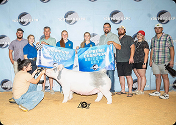 GRAND CHAMPION GILT & CHAMPION LIGHT CROSS
2025 CYE 